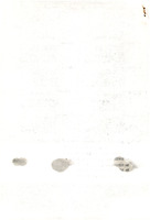 XPRRFGA21CP1A000107750