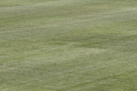 AAAFOTOS 2016-2017 Copa de Campeones 2017 Fotos FOTOS Partidos Málaga vs Celta