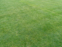 AAAFOTOS 2016-2017 Copa de Campeones 2017 Fotos Visitas campos + hoteles Baltar-Portonovo