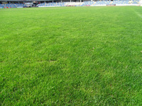 AAAFOTOS 2016-2017 España-Estonia Sub21 Pasarón