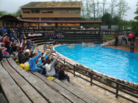 AAAFOTOS 2017-2018 AASELECCIONES GALLEGAS CAMPEONATOS DE ESPAÑA Futbol sala Campeonato de España ...