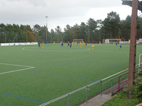 varios Albino Piloño